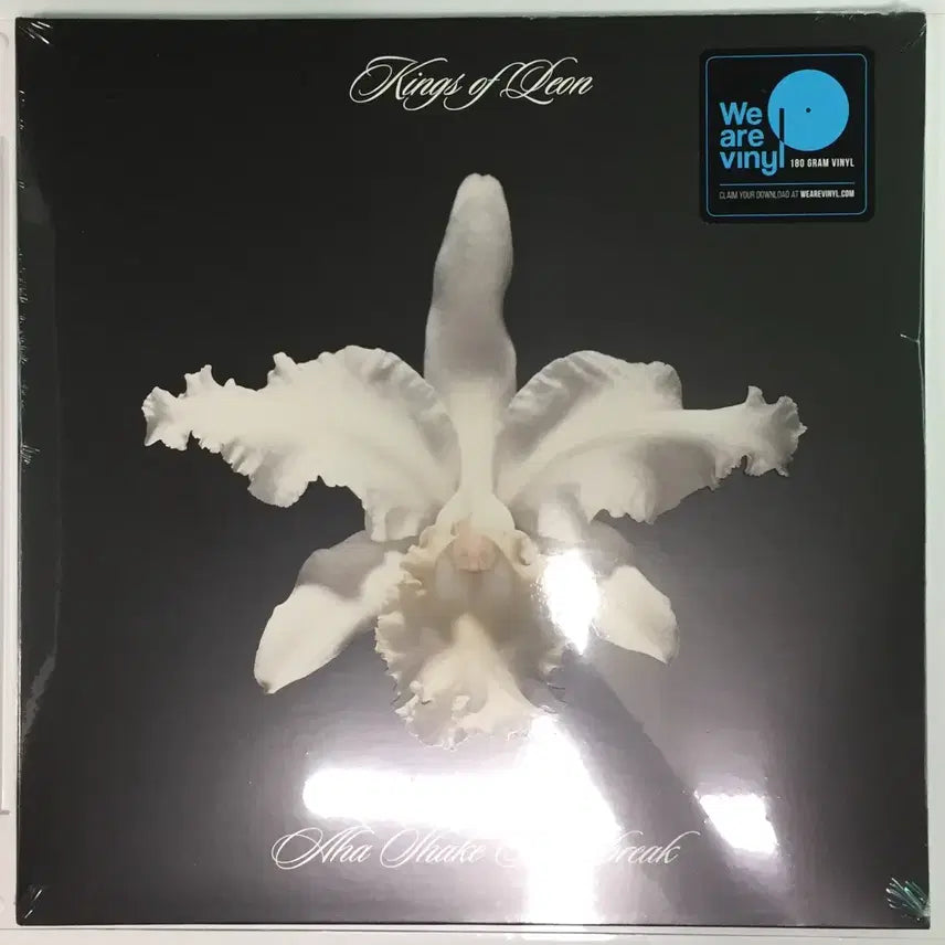 [BUNJANG] Kings of Leon LP &amp; CD Bundle Set / Kings of Leon(킹스오브리온)LP