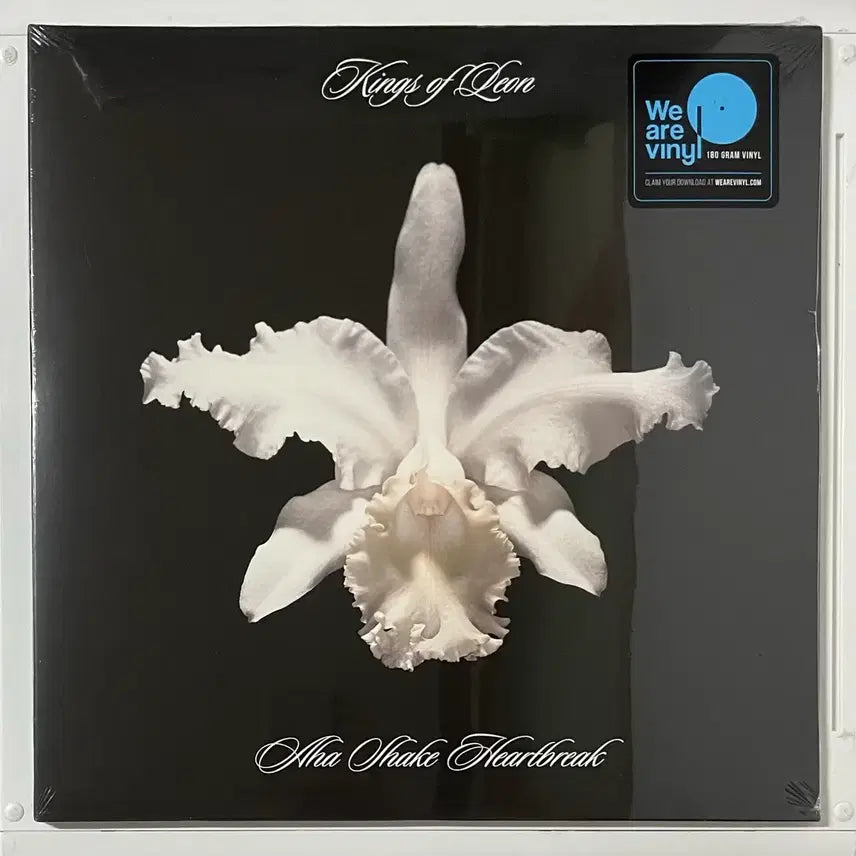 [BUNJANG] Kings of Leon LP &amp; CD Bundle Set / Kings of Leon(킹스오브리온)LP