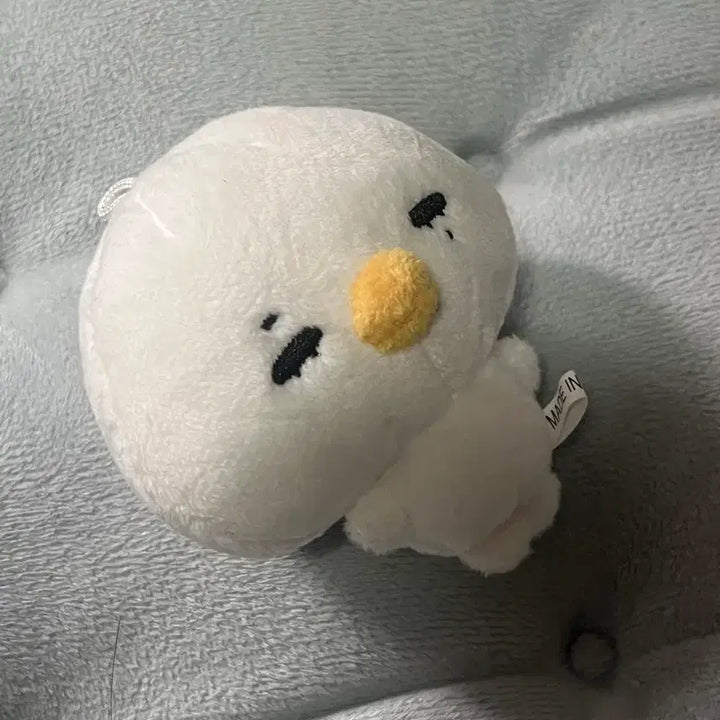 [SOLD OUT] 외출 경험이 있는 용감한 닠만두