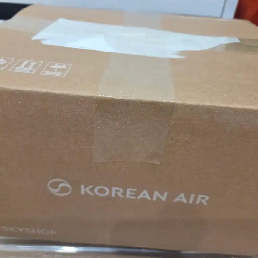 [BUNJANG] Korean Air Airbus A321neo Model Airplane / 대한항공 Airbus A321neo 모형 비행기