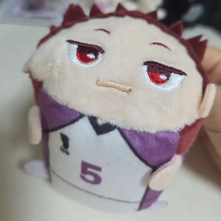 [BUNJANG] Haikyu Tendo Potekoro Plush / 하이큐 포테코로 텐도 양도