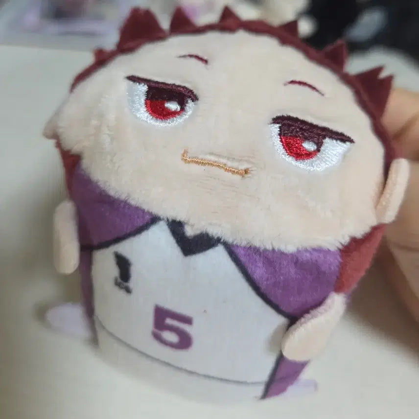 [BUNJANG] Haikyu Tendo Potekoro Plush / 하이큐 포테코로 텐도 양도