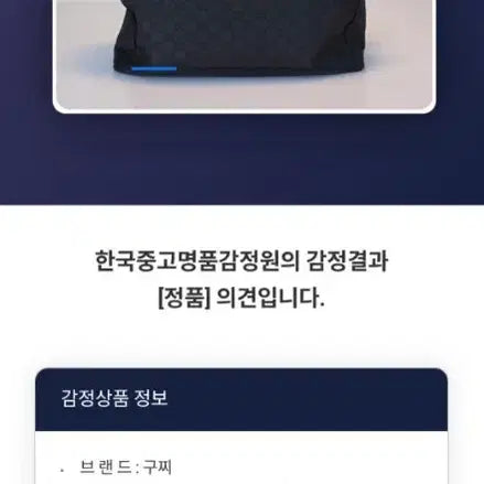 [BUNJANG] Gucci GG Canvas Shopper Bag / 구찌 GG캔버스 쇼퍼백