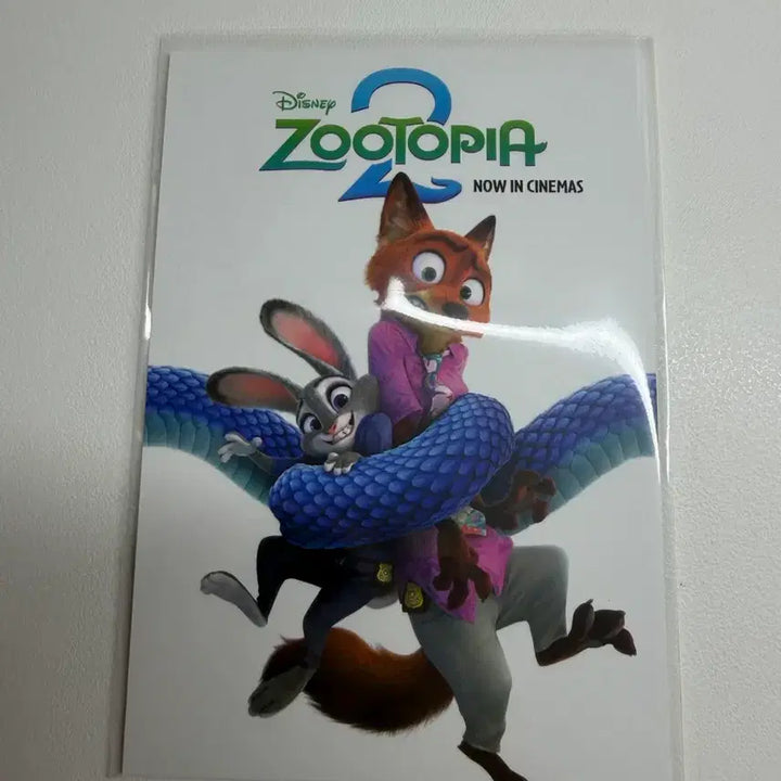 [BUNJANG] Zootopia 2 Movie Theater Postcard / 주토피아 2 영화관 특전 엽서