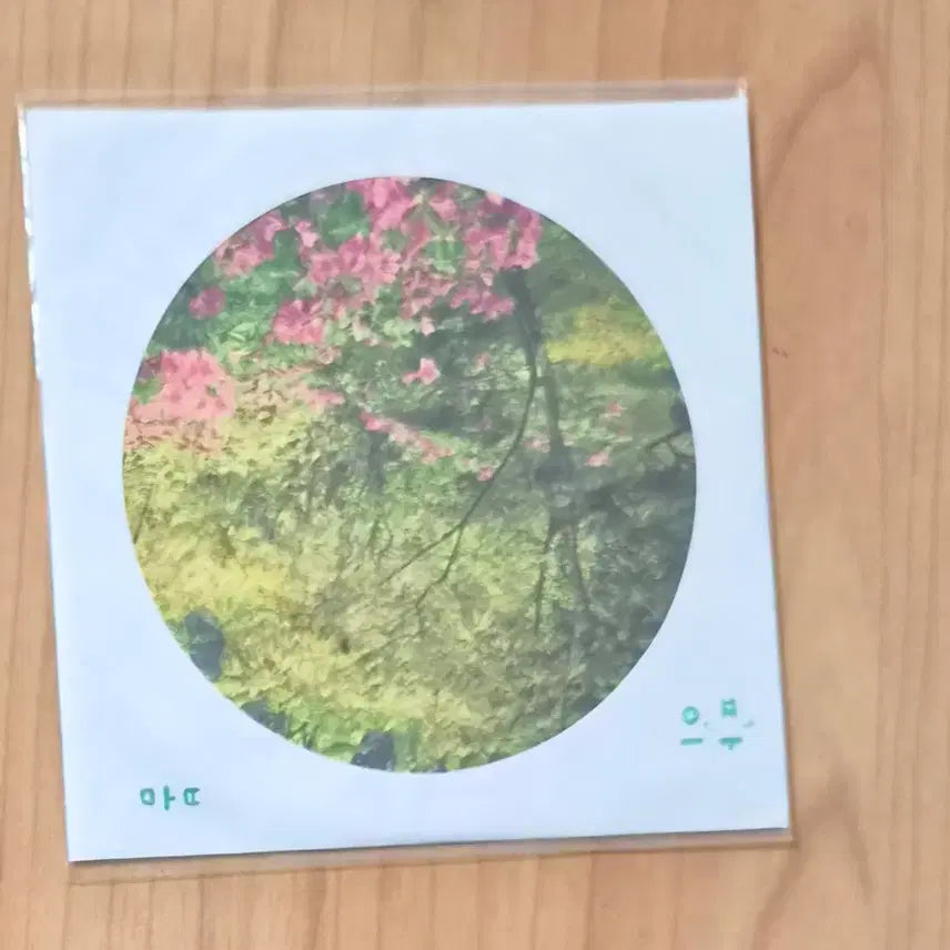 [BUNJANG] Pie Plate / 네고 가능 파이 봄