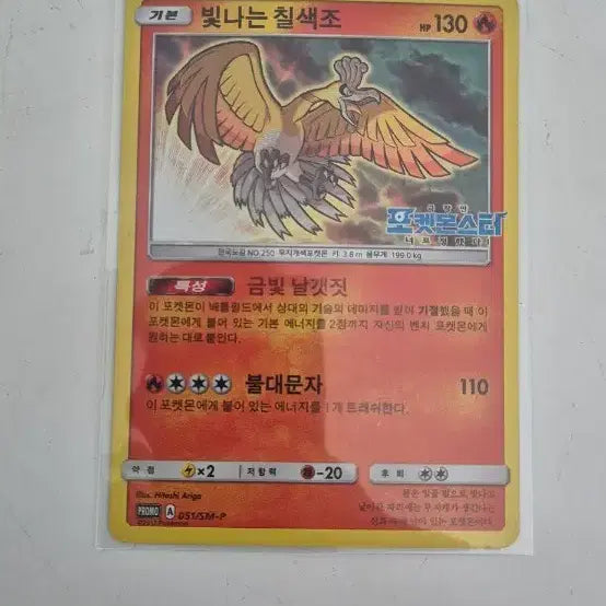 [SOLD OUT] 빛나는 칠색조 (한정판)