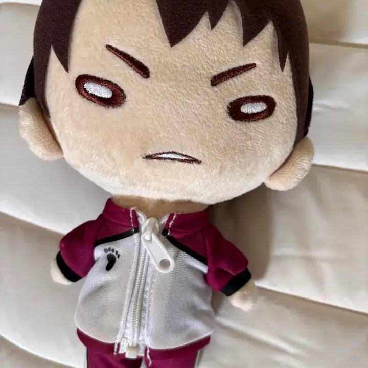 [BUNJANG] Ushijima Wakatoshi Big Nittotan Plush / 우시지마 와카토시 빅니토탄