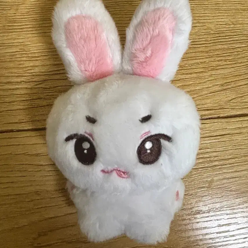 [BUNJANG] Lipddoa Choi Lipwoo Doll / 립또아 인형