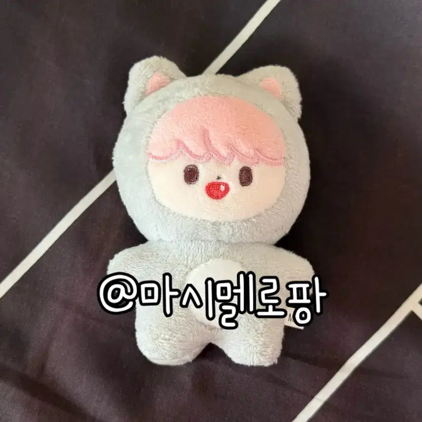 [BUNJANG] NCT Dream Renjun Doll / 엔시티드림 런쥔 인형 다 님 야옹쥔 양도 판매 nct dream