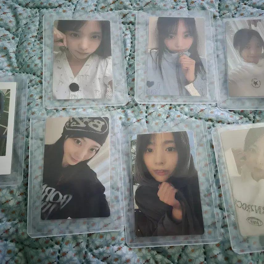 [BUNJANG] QWER Pop-Up Demonstration Apparel Photocard Bundle Set / qwer 팝업 시연 의류 포카 일괄 판매(개별 X)