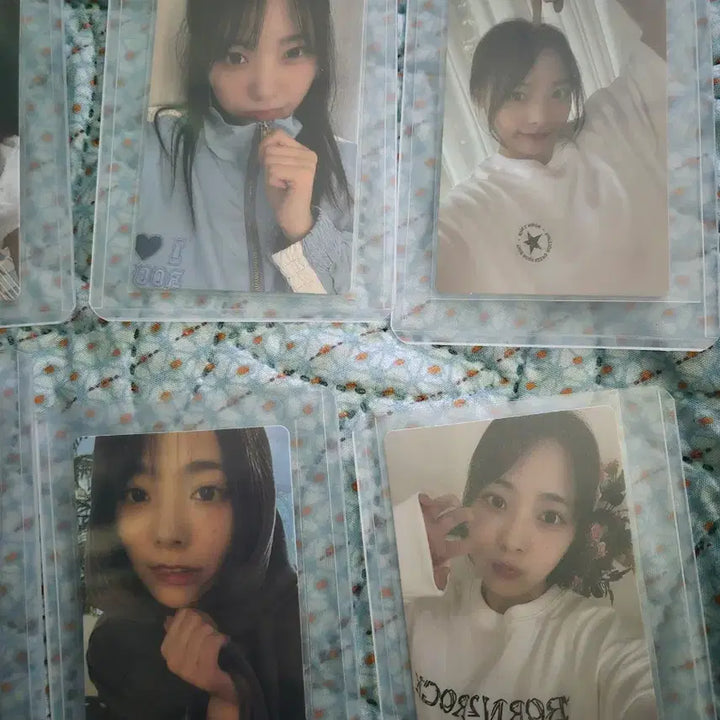 [BUNJANG] QWER Pop-Up Demonstration Apparel Photocard Bundle Set / qwer 팝업 시연 의류 포카 일괄 판매(개별 X)