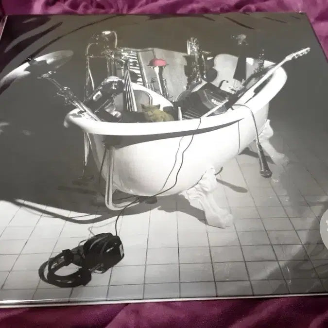 [BUNJANG] Sheena Ringo Heisei-Fuuzoku LP / 시이나링고 헤이세이풍속 LP 팝니다