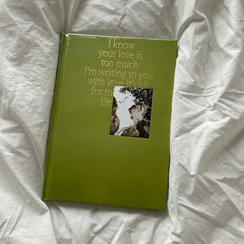 [BUNJANG] Mark Firstfruit Photobook - Sealed / 마크 퍼스트프룻 Firstfruit 포토북 미개봉