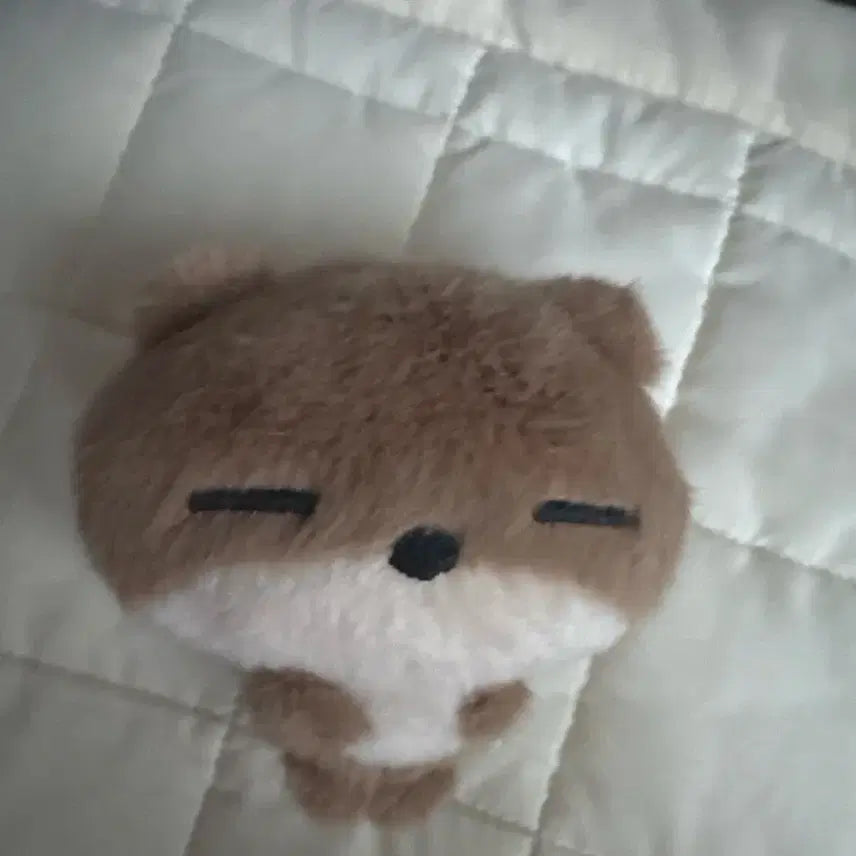 [BUNJANG] BOYNEXTDOOR Riwoo Doll / 보넥도 리우 인형 수링다 양도