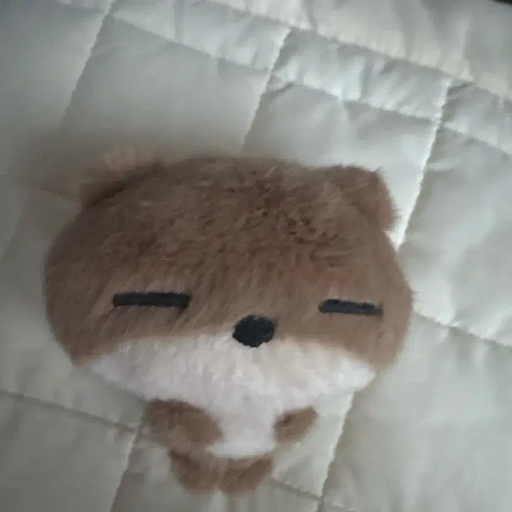 [BUNJANG] BOYNEXTDOOR Riwoo Doll / 보넥도 리우 인형 수링다 양도
