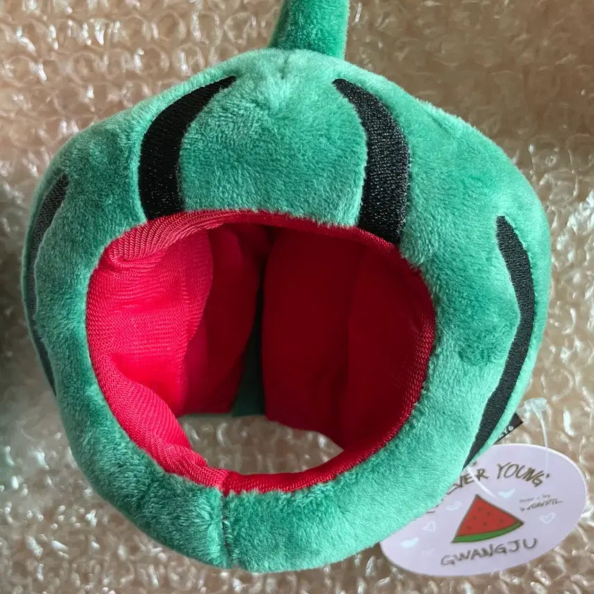 [BUNJANG] Denimals Watermelon Hat / 데니멀즈 수박모자