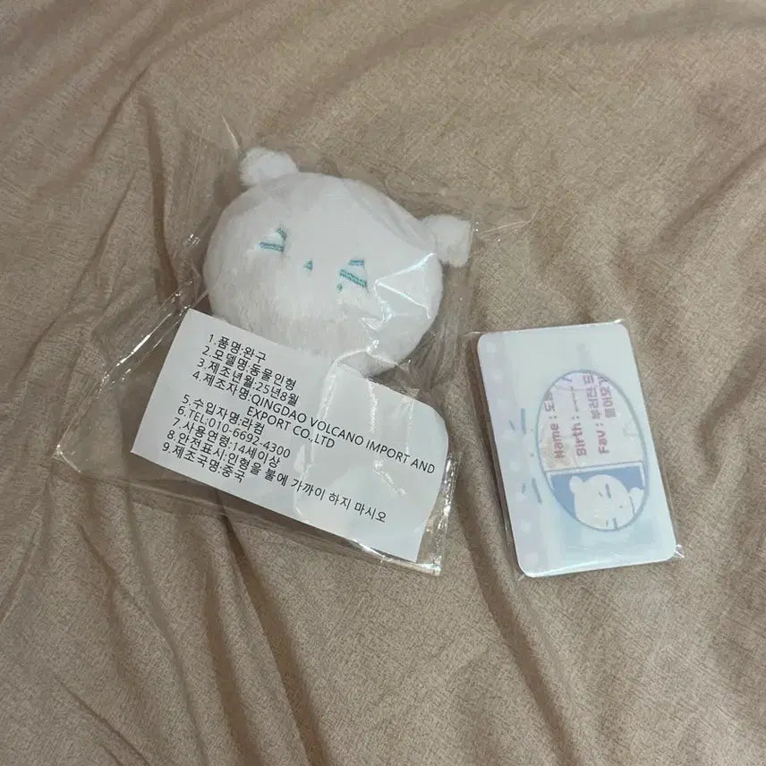 [BUNJANG] Day6 Dowoon Dorong-i Unofficial Doll / 데이식스 윤도운 비공굿 도롱이 양도 미개봉