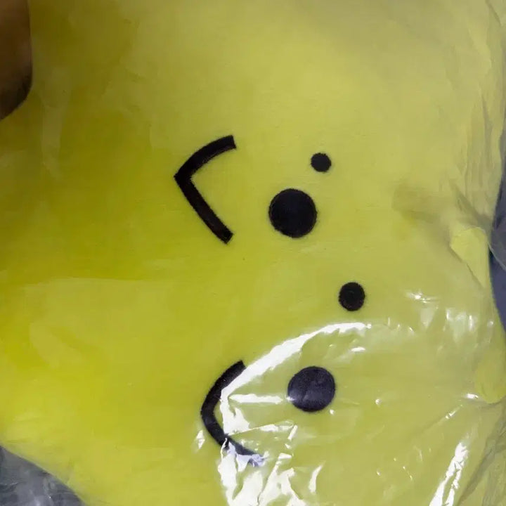 [SOLD OUT] 마크 별가사리 맠가사리 쿠션