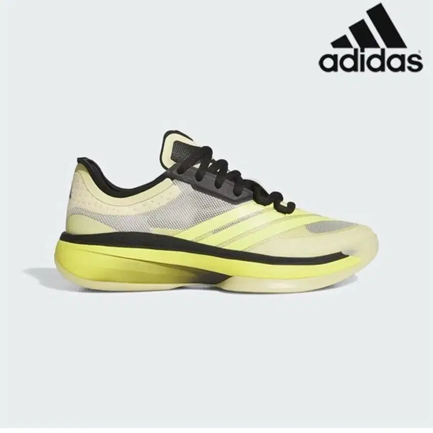 [BUNJANG] Adidas Adizero Select 3.0 Basketball Shoes (265) / 아디제로 셀렉트 3.0 농구화(265)