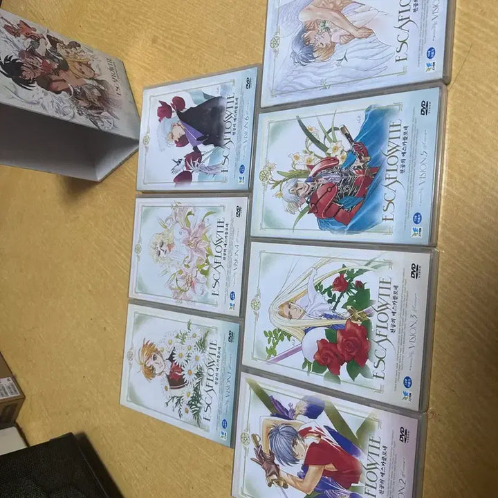[BUNJANG] Escaflowne DVD Box Set / 천공의 에스카플로네 DVD 박스세트