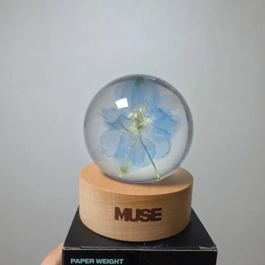 [SOLD OUT] 최저가)BTS지민 뮤즈 문진 개봉 새상품