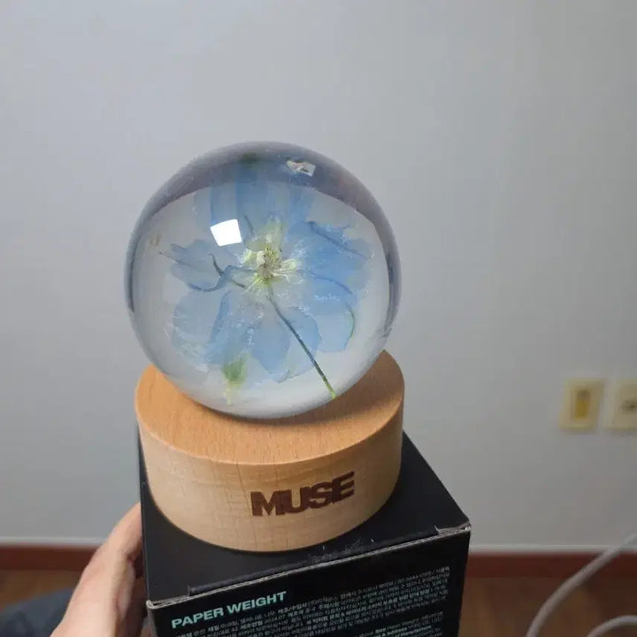[SOLD OUT] 최저가)BTS지민 뮤즈 문진 개봉 새상품
