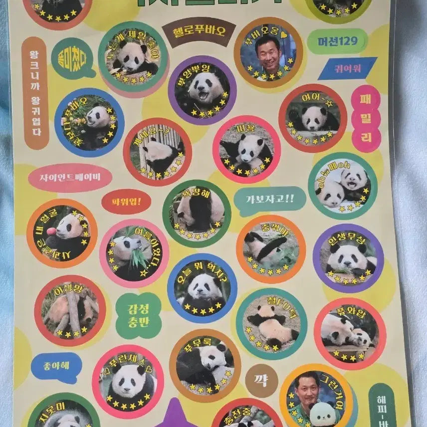 [BUNJANG] Fu Bao Sticker / 푸바오 딱지스티커
