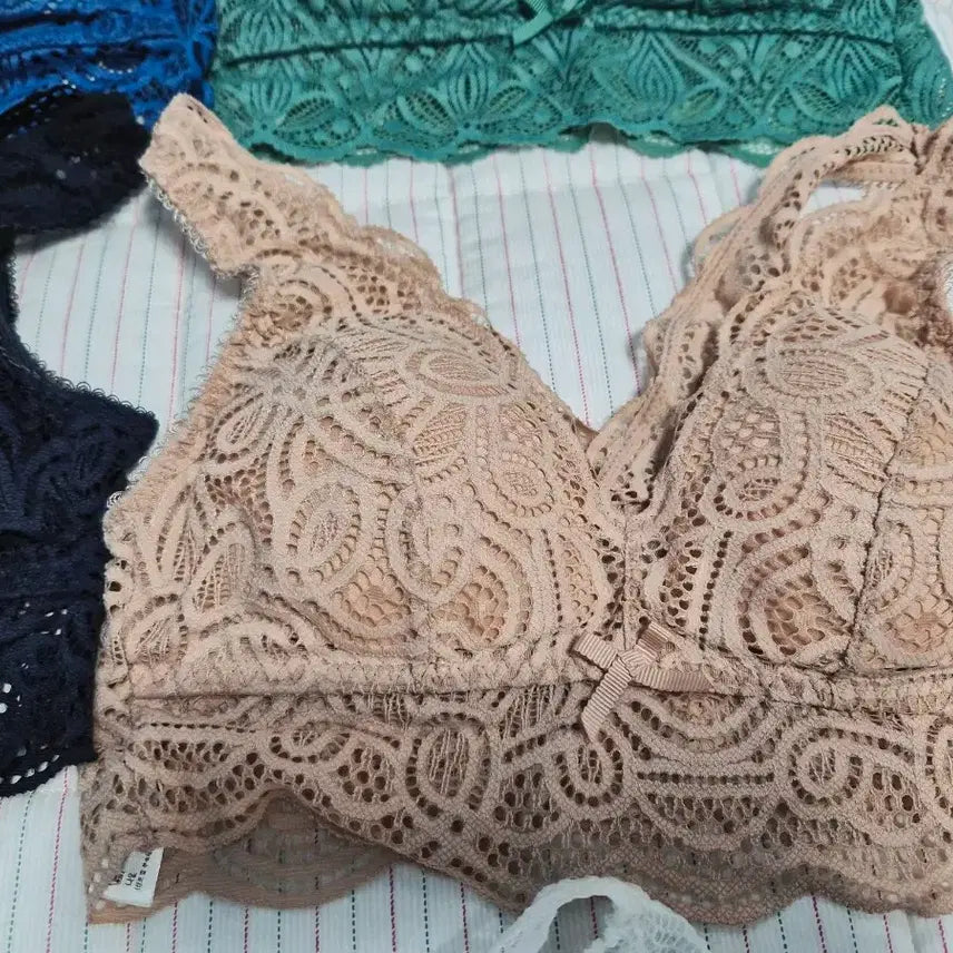 [BUNJANG] Barbara All Lace Bralette Set (5 pcs) / 바바라 레이스브라렛 새상품 5개모두드림