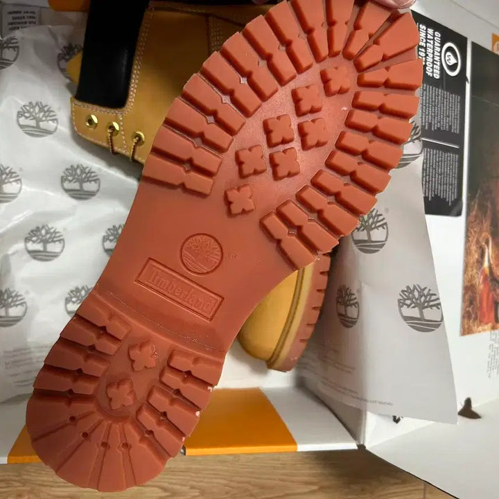 [BUNJANG] Timberland Premium 6-Inch Waterproof Boots Wheat Nubuck 270mm / 팀버랜드 프리미엄 6인치 워터프루프 부츠 위트 누벅 270mm