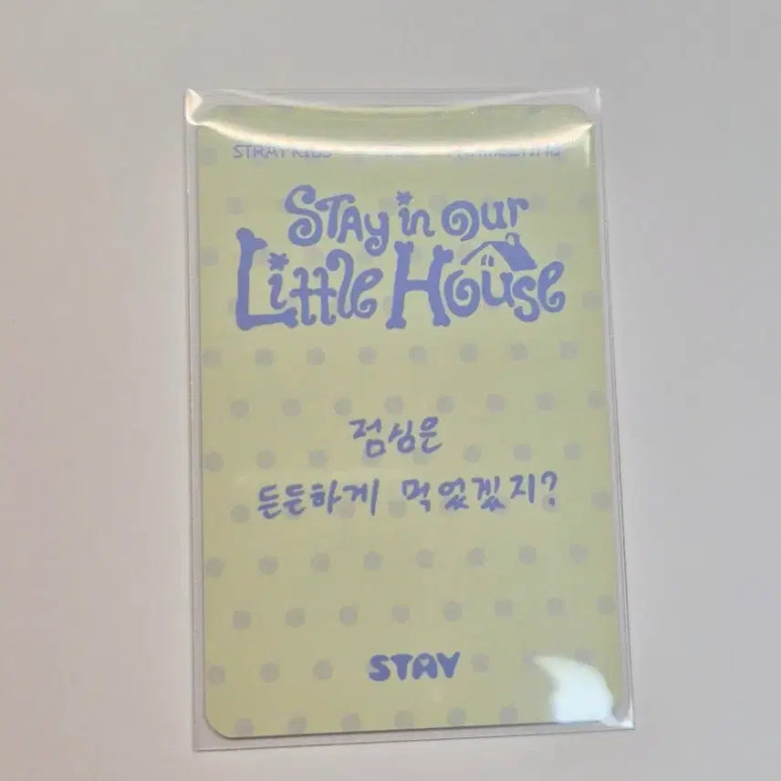 [BUNJANG] Stray Kids Lee Know Entrance Photocard / 스키즈 팬미팅 막막콘(4.05.) 리노 입장포카 양도