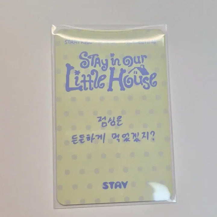 [BUNJANG] Stray Kids Lee Know Entrance Photocard / 스키즈 팬미팅 막막콘(4.05.) 리노 입장포카 양도