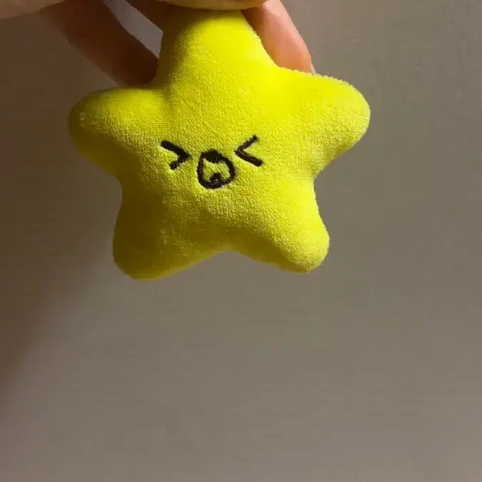 [SOLD OUT] 꾸미,햇가사리