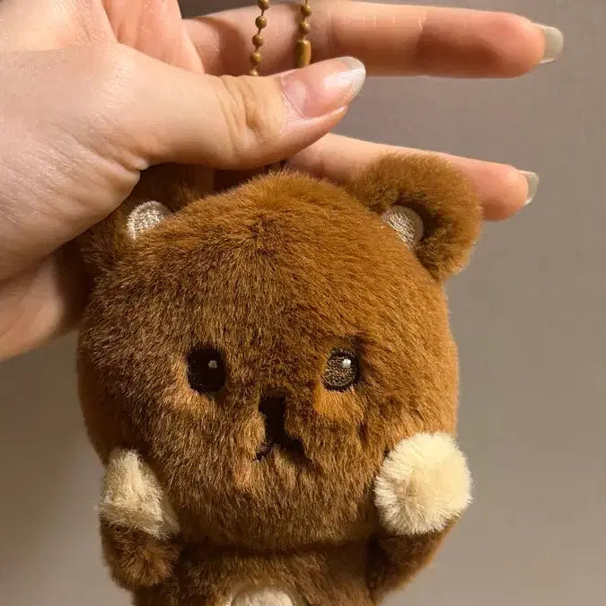 [SOLD OUT] 꾸미,햇가사리