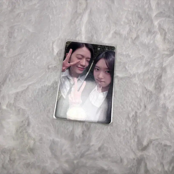 [BUNJANG] IVE Photocard / 포토카드