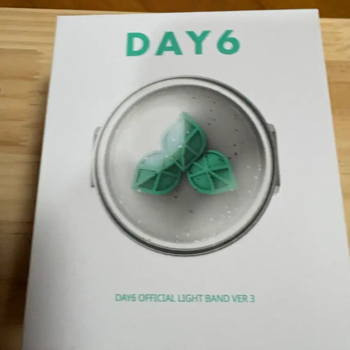 [SOLD OUT] DAY6 공식 응원봉 Ver.3 풀박스