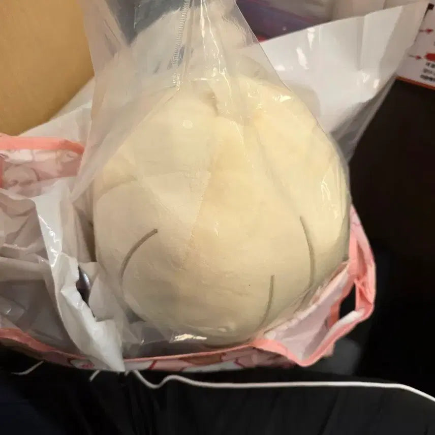[BUNJANG] Sakamoto Days Shin Plush Doll / 사카모토데이즈 중국한정쿠지 B상 신 인형