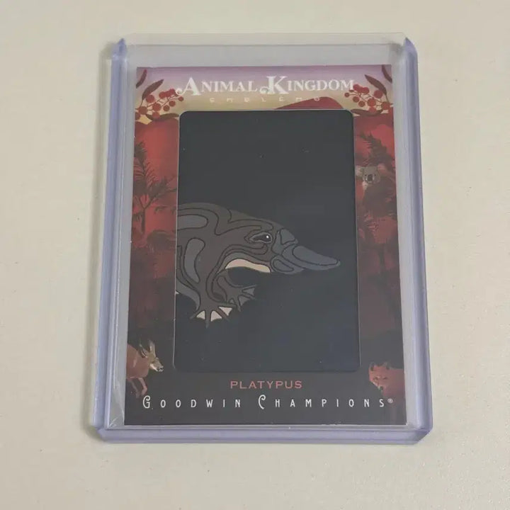 [BUNJANG] 2025 Good Witt Champion Animal Kingdom Platypus Card / 2025 굿윗 챔피언 애니멀킹덤 오리너구리