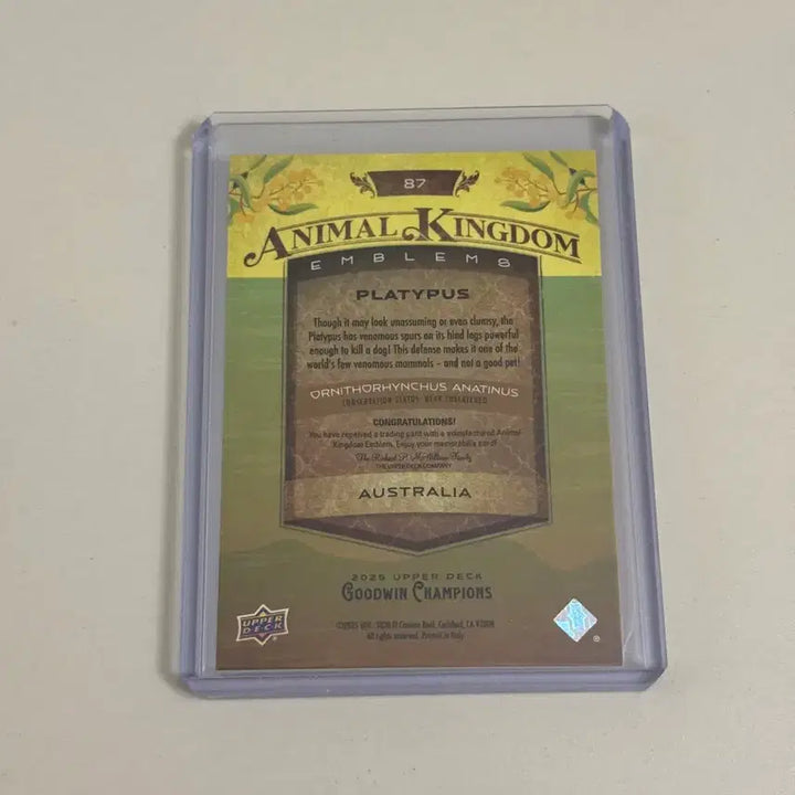[BUNJANG] 2025 Good Witt Champion Animal Kingdom Platypus Card / 2025 굿윗 챔피언 애니멀킹덤 오리너구리