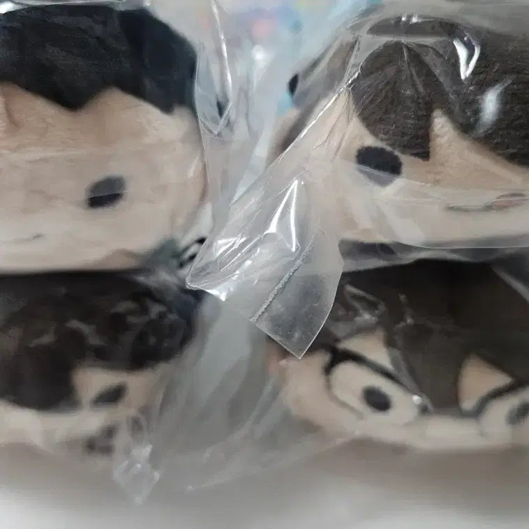 [BUNJANG] Haikyu Oikawa &amp; Iwaizumi Bundle Set / 하이큐 노루캬라 일괄 오이카와 이와이즈미 성인 챔피언 산후안 쯤쯤