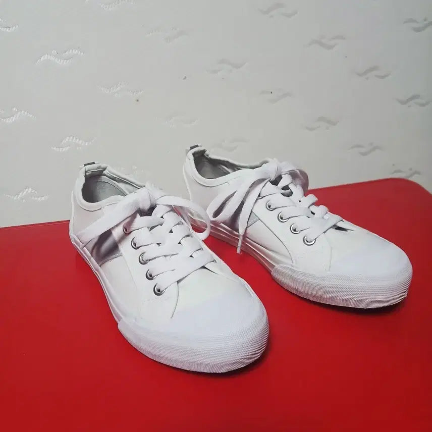 [SOLD OUT] (1) 슈펜 흰색 스니커즈 230mm