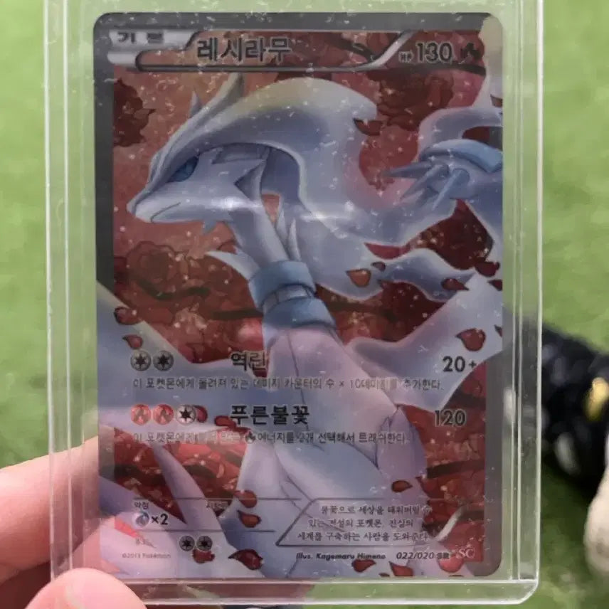 [SOLD OUT] 포켓몬카드 레시라무 샤이니 컬렉션