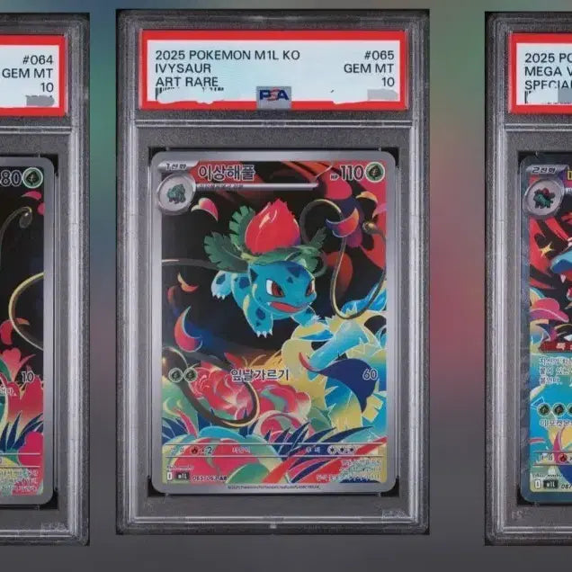 [SOLD OUT] PSA10 포켓몬카드 이상해씨 / 이상해풀 / 메가이상해꽃 연번