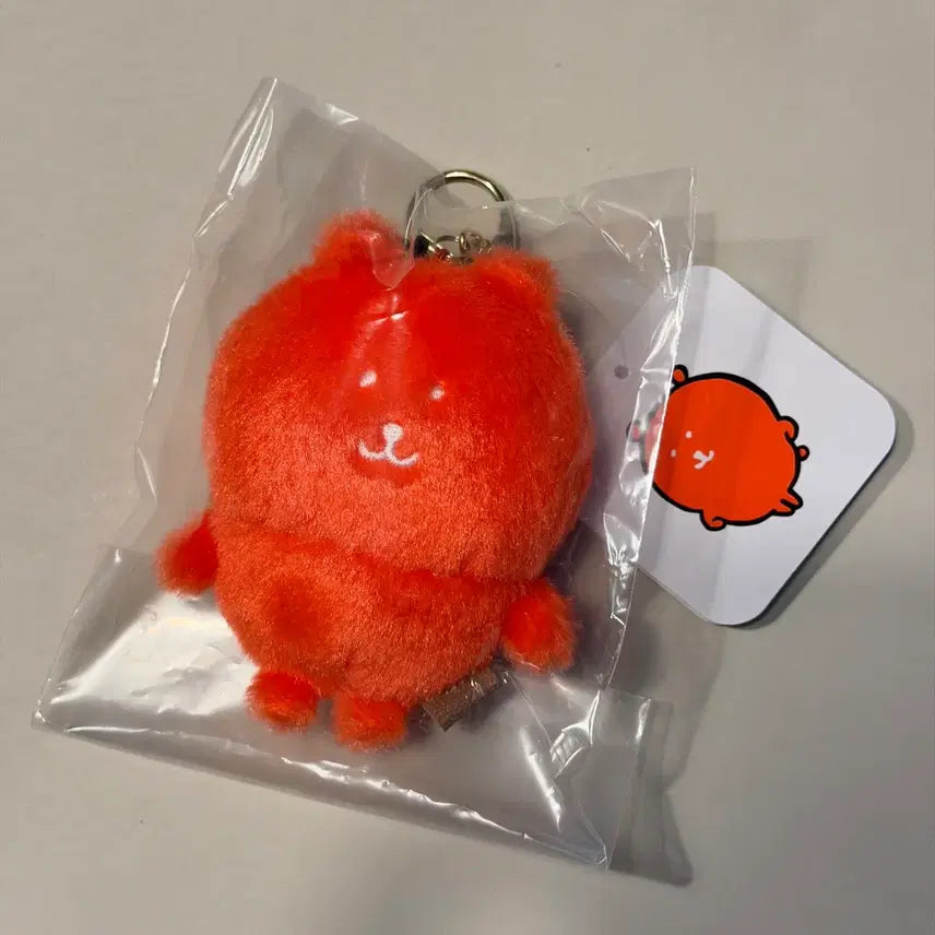 [BUNJANG] Nagano Market NongdamGom Color Bear Bundle Set / (일괄,미개봉) 나가노마켓 컬러곰 농담곰 - 레드, 녹차 말차