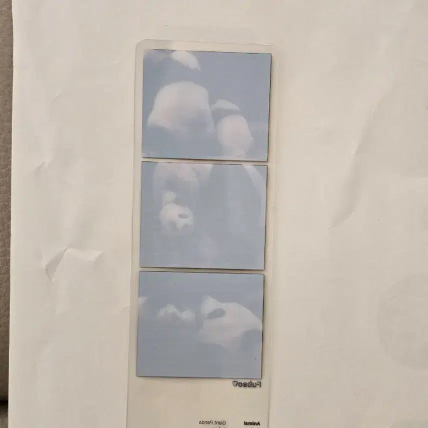 [BUNJANG] Fu Bao Three-Cut Photo POB / 푸바오 세컷포토 팝업 특전