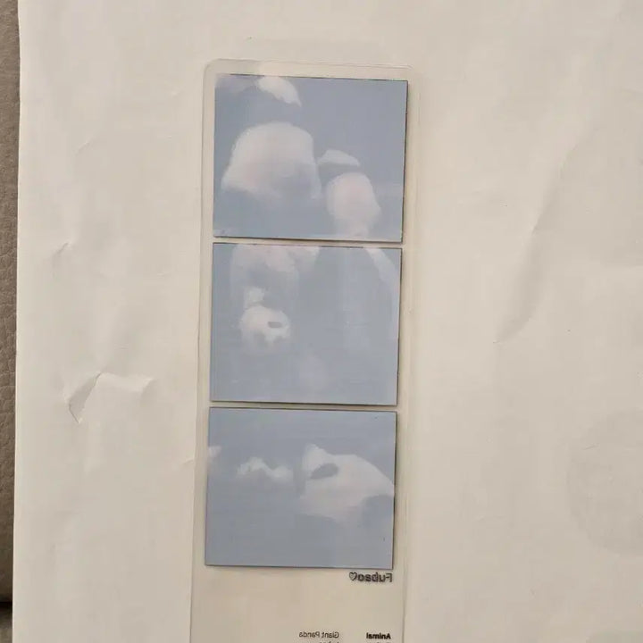 [BUNJANG] Fu Bao Three-Cut Photo POB / 푸바오 세컷포토 팝업 특전