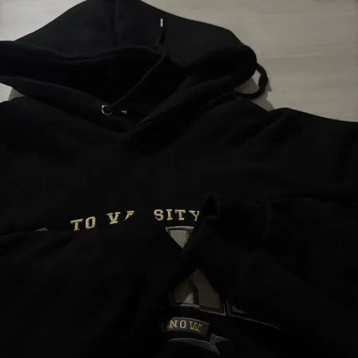 [BUNJANG] TWN Hoodie L / TWN 티떠블유앤 후드티 L