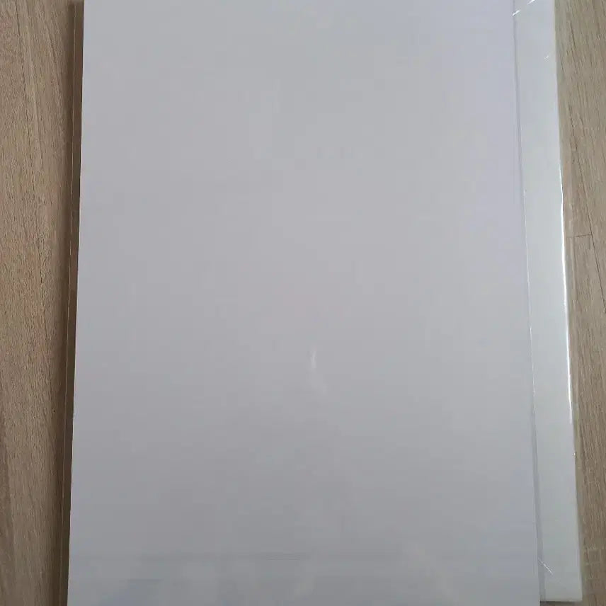 [SOLD OUT] 체인소맨 레제편 수영장 포스터
