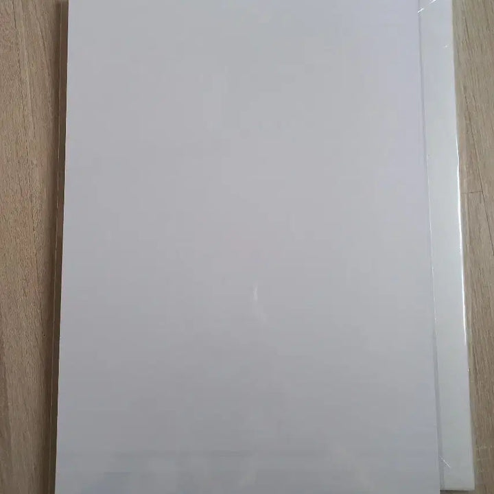 [SOLD OUT] 체인소맨 레제편 수영장 포스터