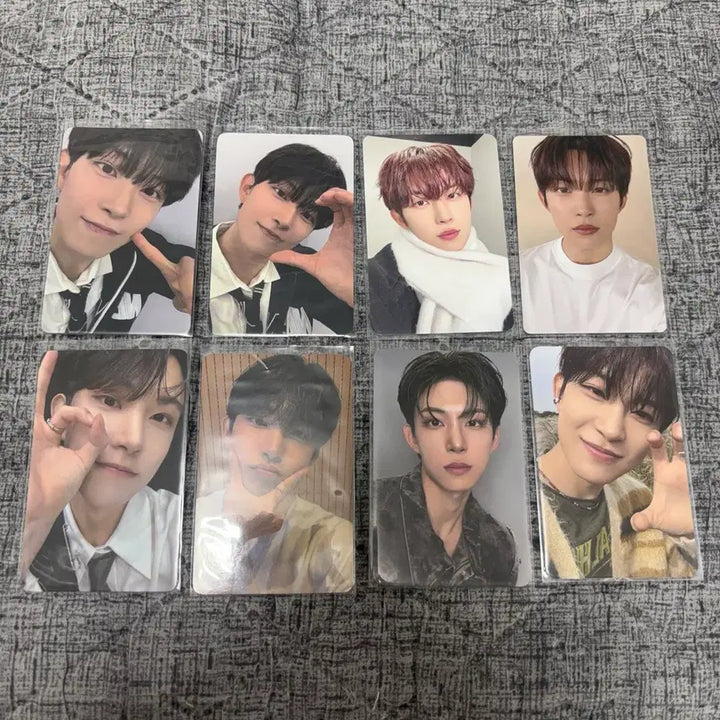 [BUNJANG] Alpha Drive One Gunwoo Photocard Bundle Set / 알파드라이브원 알디원 건우 김건우 포카 일괄 양도