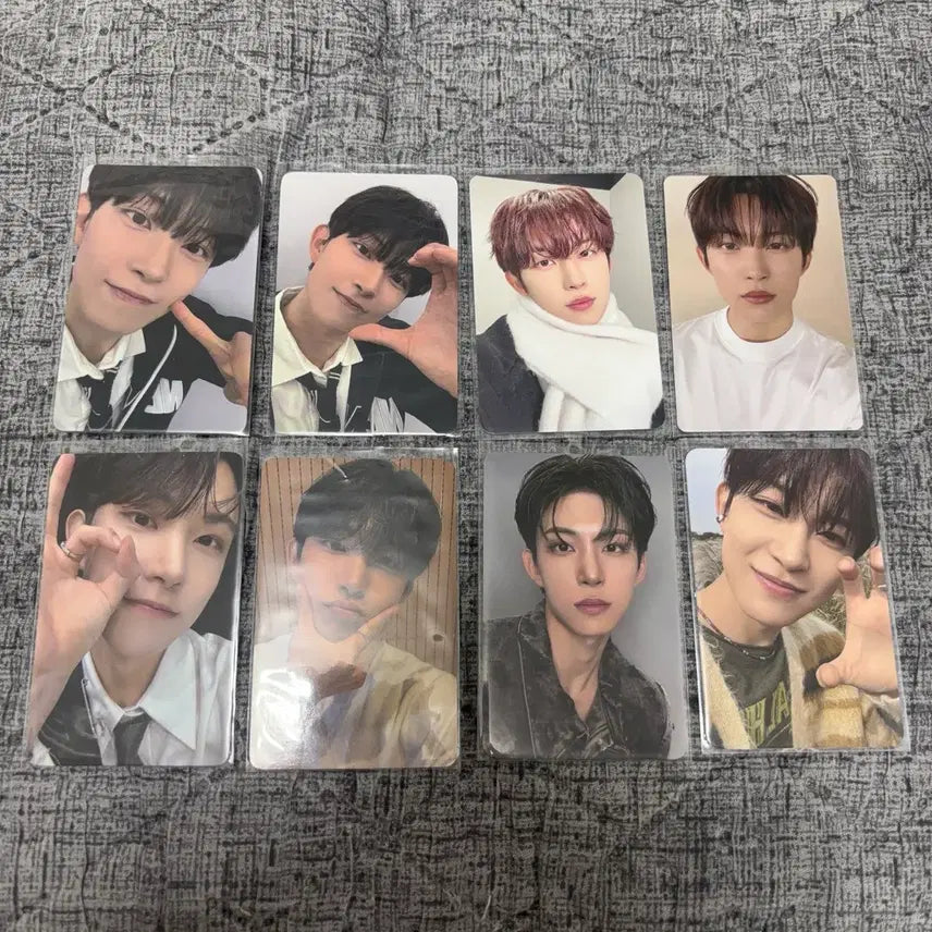 [BUNJANG] Alpha Drive One Gunwoo Photocard Bundle Set / 알파드라이브원 알디원 건우 김건우 포카 일괄 양도